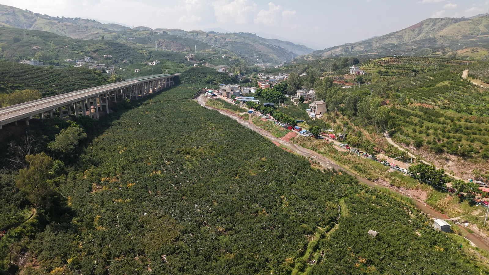 盐水河谷与坡地石榴园航拍
